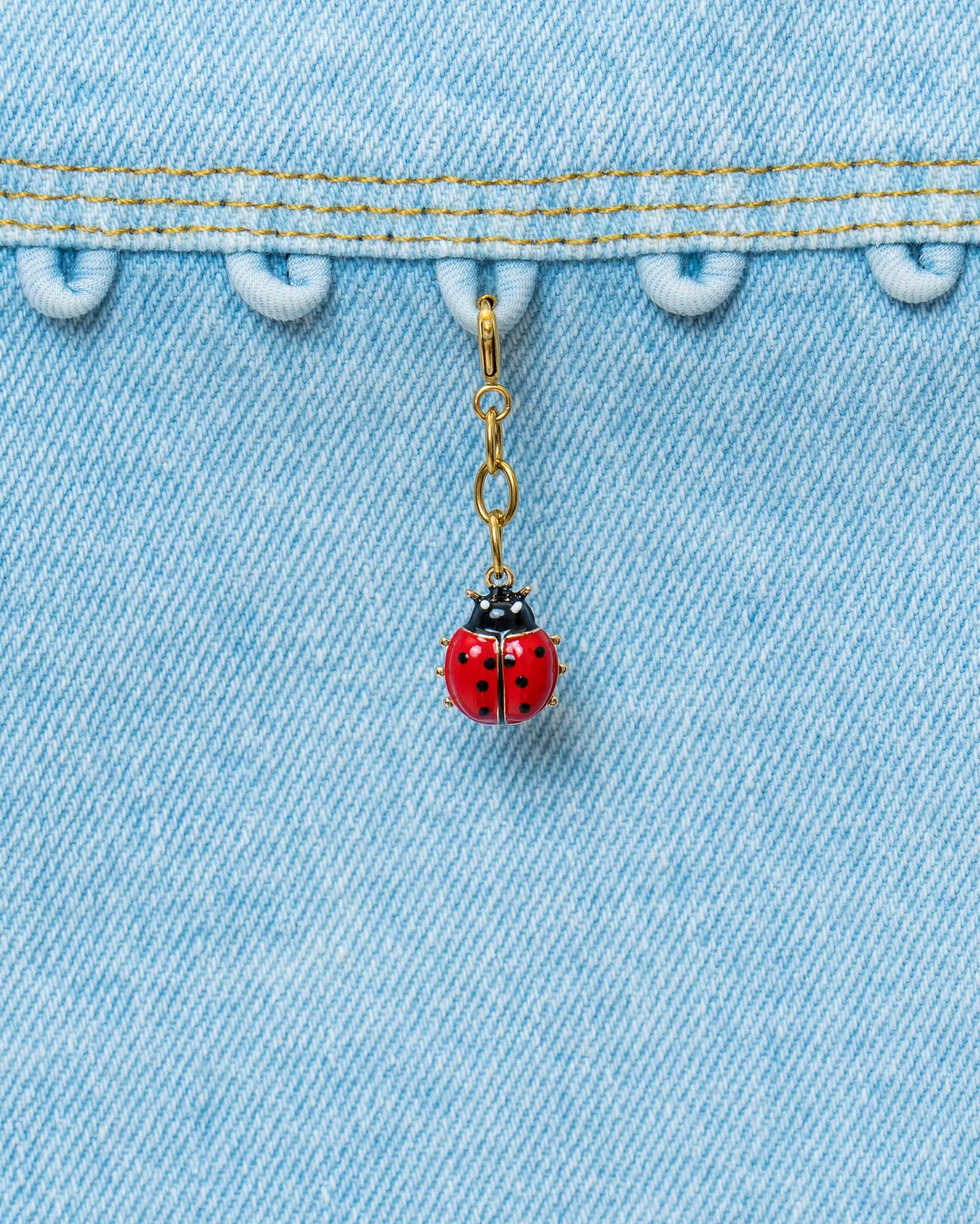 Lady Bug Charm
