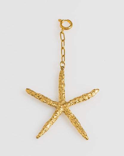 Sea Star Glow Charm