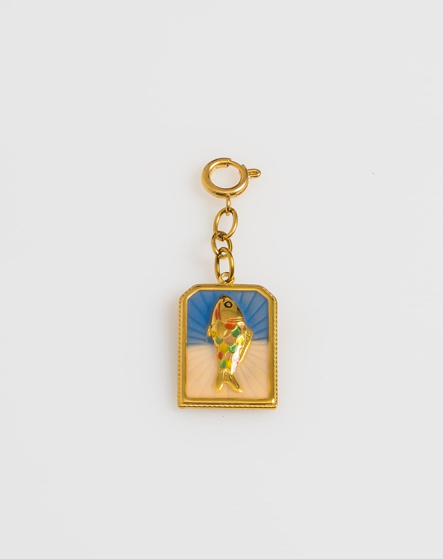 Fish Coin Charm