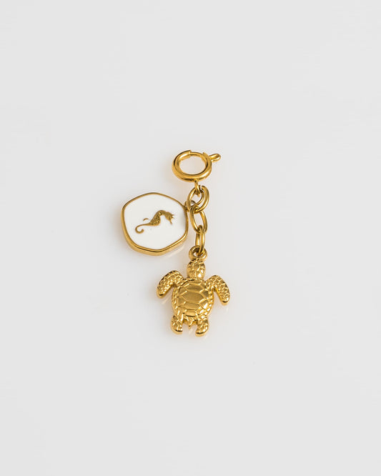 Turtle Multi Charm