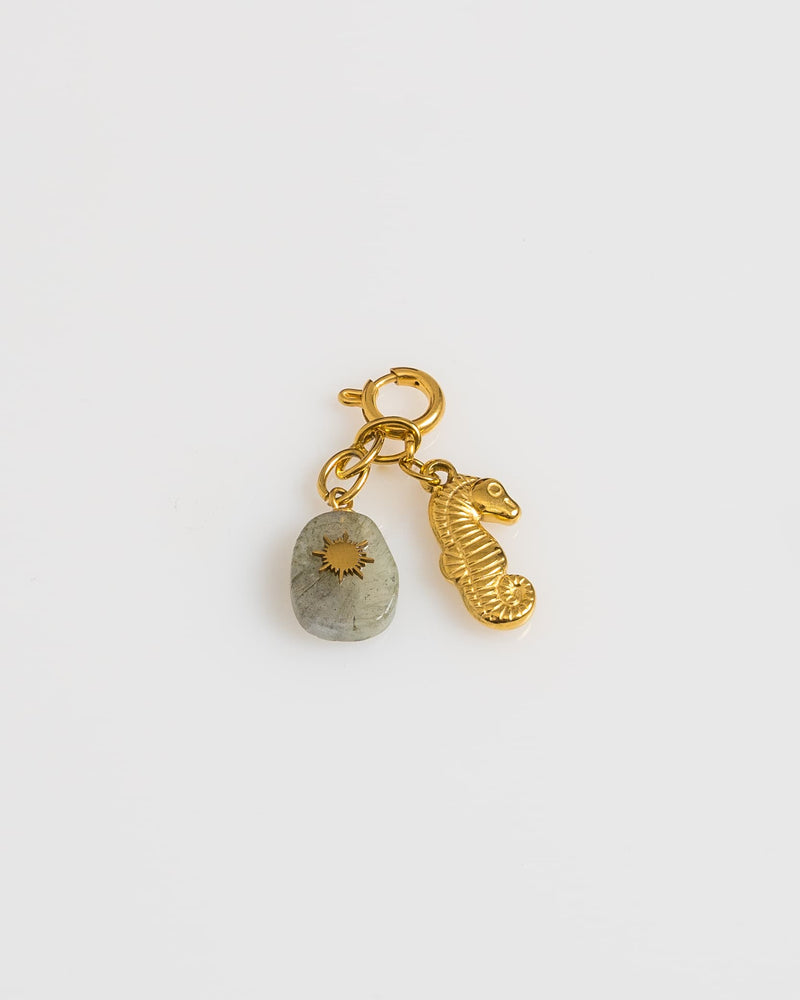 Black Sea Sun Charm