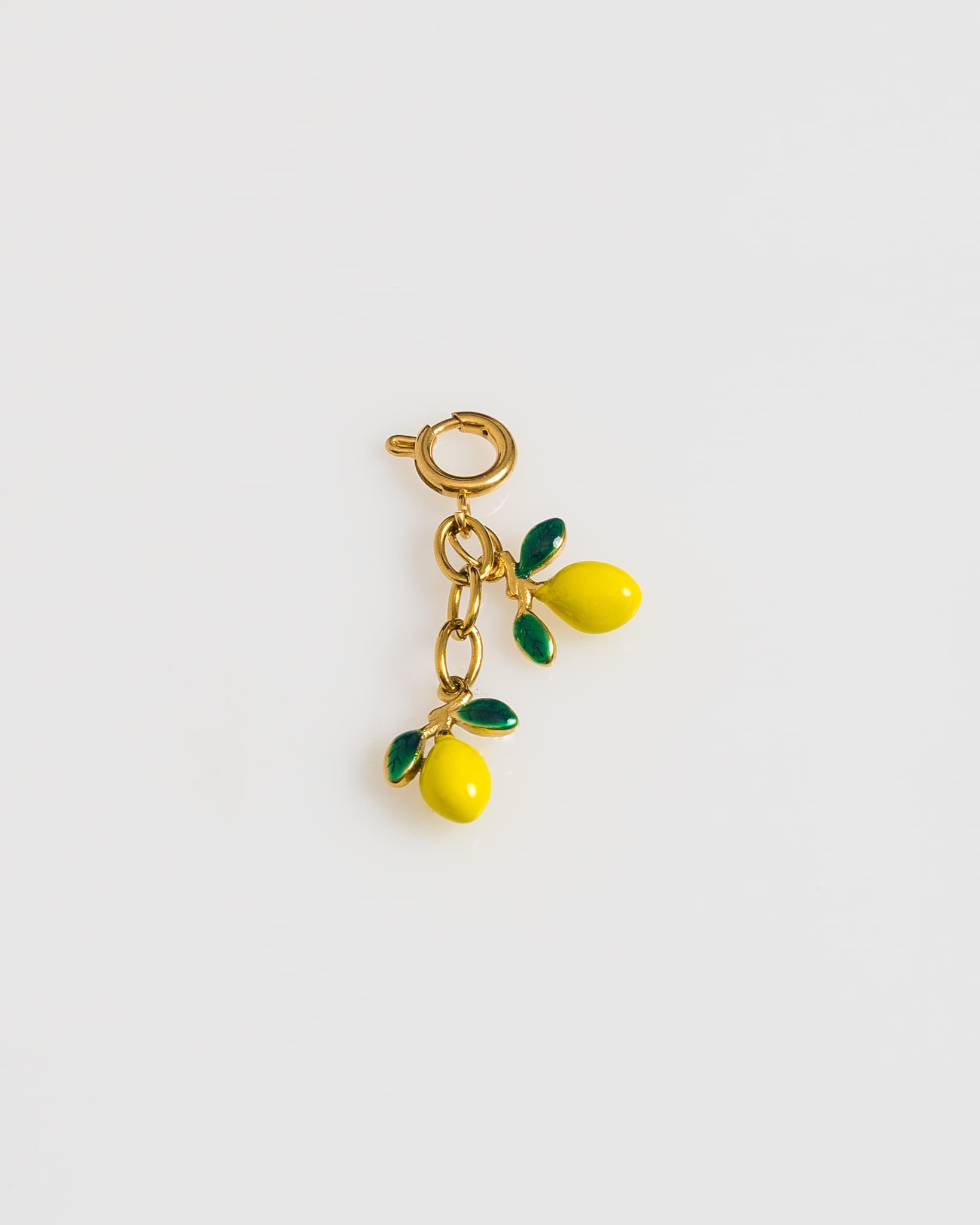 Fresh Lemons Charm