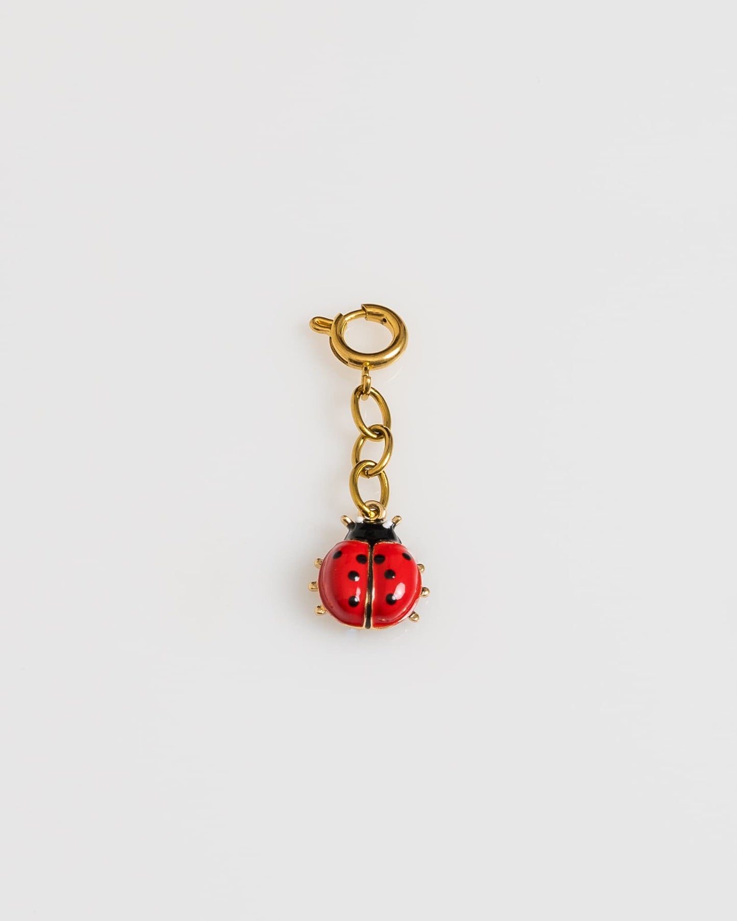 Lady Bug Charm