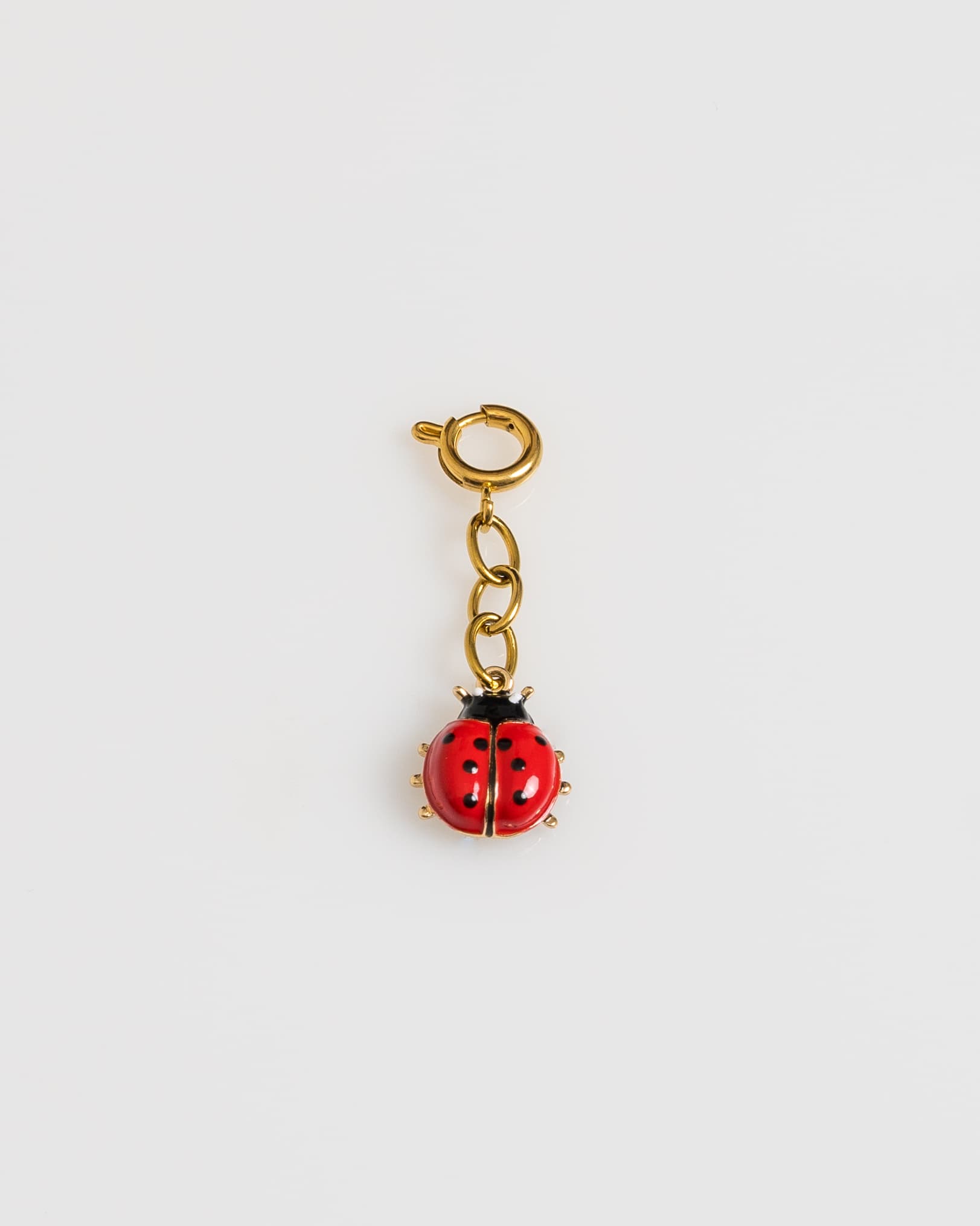 Lady Bug Charm