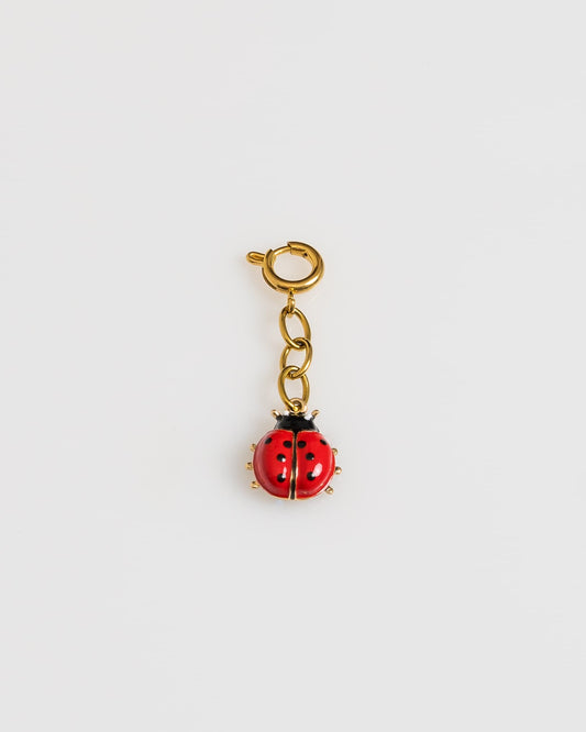 Lady Bug Charm