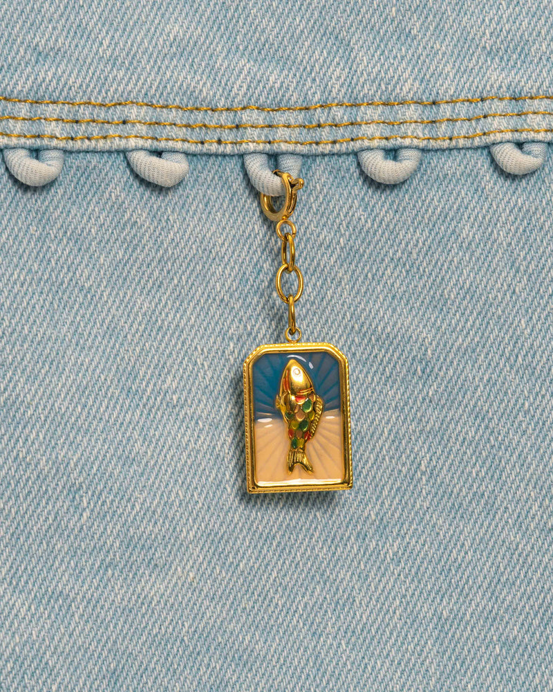 Fish Coin Charm