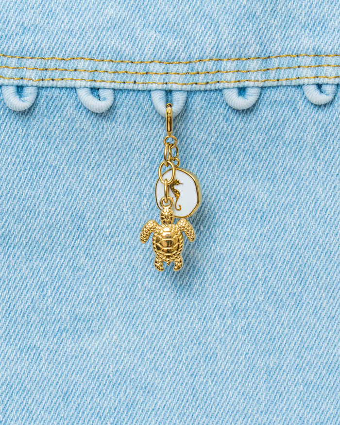 Turtle Multi Charm