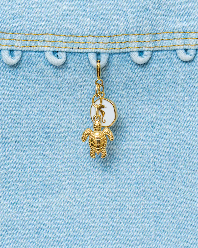 Turtle Multi Charm